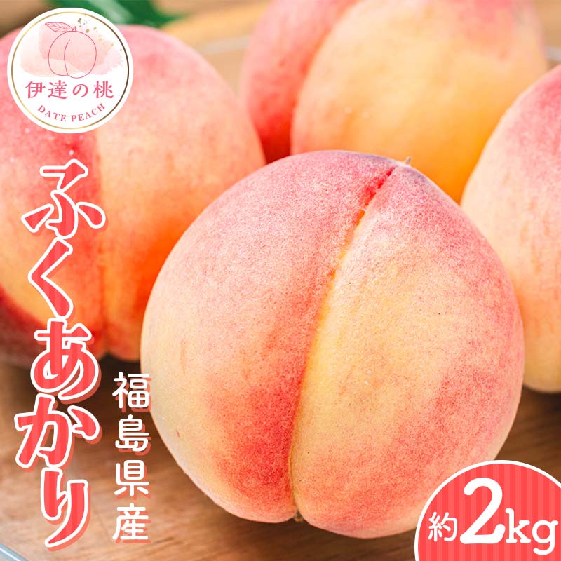 【2026年出荷分先行予約】福島県産 ふくあかり 約2kg (7～10玉) 斎藤果樹園 オリジナル品種 伊達の桃 桃 フルーツ 果物 もも モモ momo  F21C-303