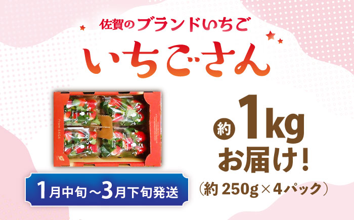 【佐賀のブランドいちご】いちごさん 約1kg（約250g×4p）/中村青果店 [UDK010] イチゴ 苺 果物 フルーツ