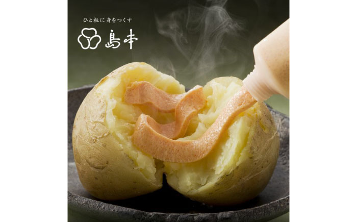 【博多辛子明太子の島本】明太子たっぷりガーリック明太マヨネーズ300ｇ×2本・115ｇ×1本《築上町》【株式会社島本食品】 [ABCR037] 11000円 1万1千円