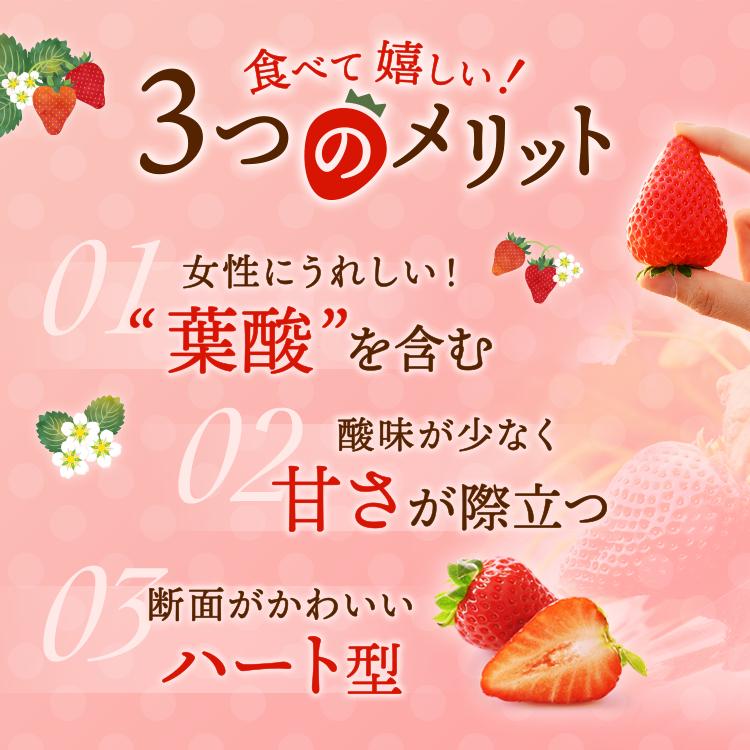 〈数量限定〉【先行予約】さくら市産イチゴ（とちあいか）290g×4パック【先行予約 栃木県 果物 くだもの フルーツ 苺 いちご】 ※2025年12月下旬～2026年3月下旬頃に順次発送予定_イメージ