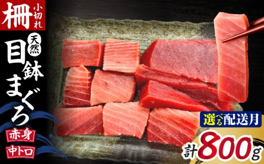 天然三崎まぐろ 中トロ・赤身 柵小切れ【9月お届け】　M005-044-09