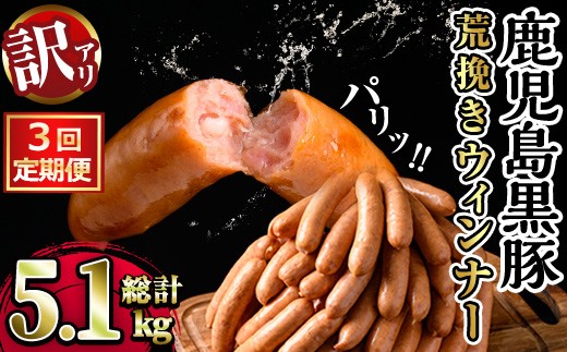 y569 ＜定期便・全3回＞《業務用・訳あり》鹿児島県産黒豚荒挽きウィンナー(総計5.1kg以上・850g以上×2P×3回) 国産 九州産 黒豚 豚肉 ウインナー ソーセージ フランクフルト 惣菜 おかず 弁当 BBQ キャンプ 冷凍 訳アリ【ナンチク】