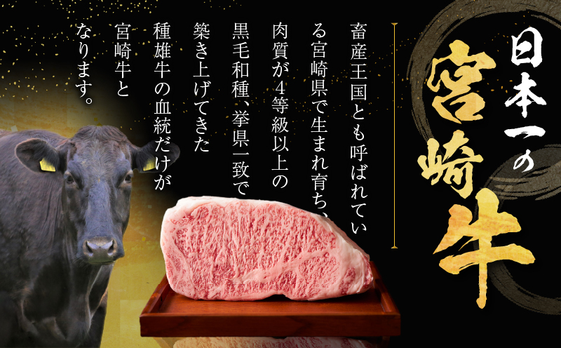 【10月1日より寄附額改定】≪数量限定≫宮崎牛ヒレステーキ(計360g) 肉 牛 牛肉 焼肉 国産_T030-104