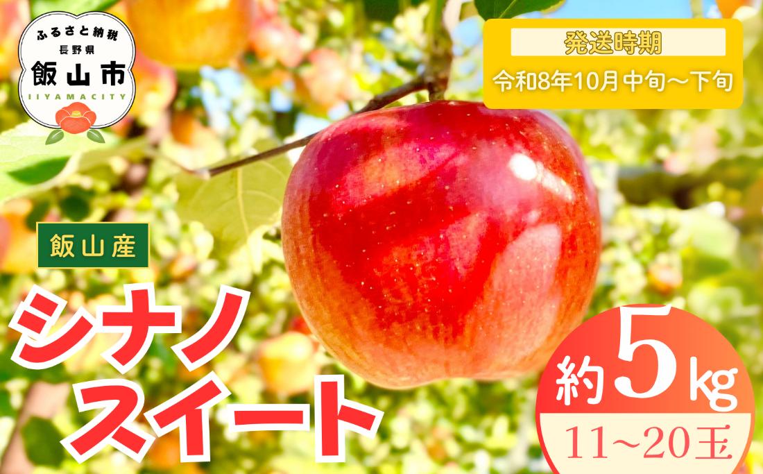 【先行予約丨2026年10月中旬より順次発送】シナノスイート【約5kg (11〜20玉)】(At-012)丨長野県 飯山市 おすすめ ランキング おいしい 高評価 大人気 先取り 産地直送 りんご