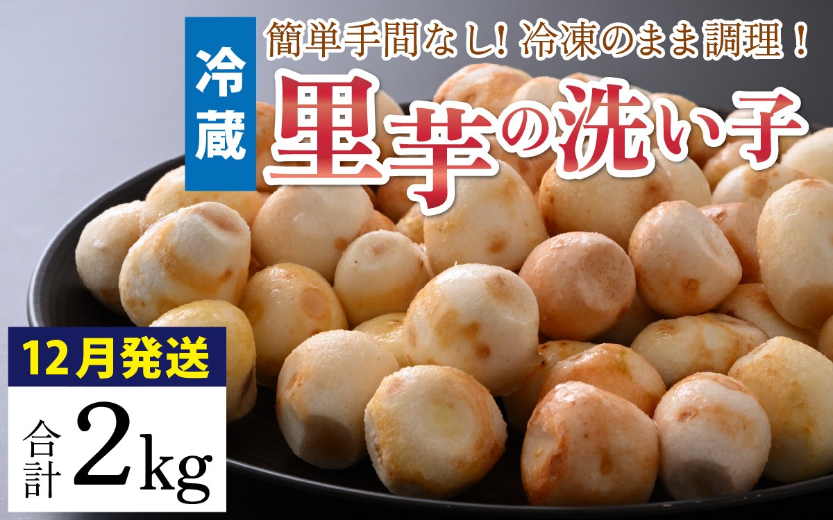 
                  【先行予約】【12月発送】越前大野の里芋の洗い子 2kg【冷蔵】｜ 里芋  洗い子 箱
                