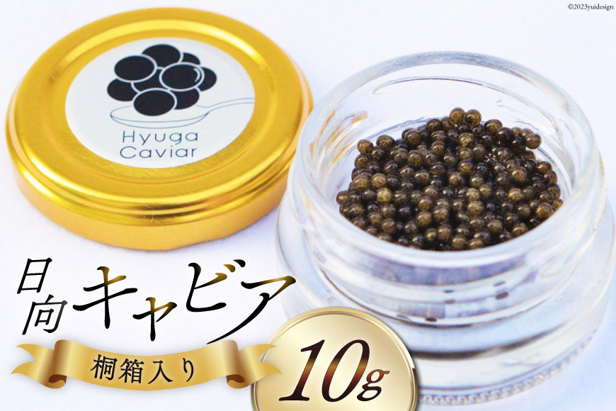 
            キャビア 日向キャビア (Hyuga Caviar) 10g 桐箱入り [ウィズ・クリエイティブ 宮崎県 日向市 452060890-os] 冷凍 宮崎 国産 チョウザメ フレッシュ 瓶【お歳暮】
          