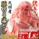 九州産豚切り落とし肉＜計2.4kg(300g×8P)＞