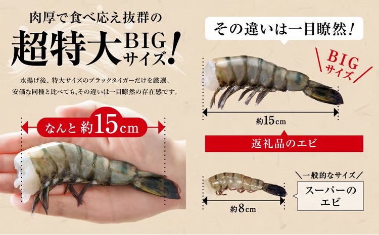 特大 ブラックタイガー 無頭えび 1.1kg前後（30尾）