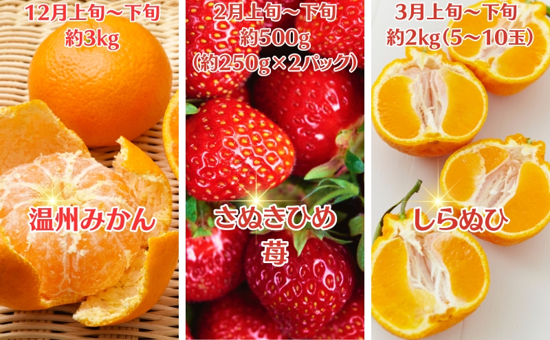 【2026年受付】ご家庭用 食べきり 旬果フルーツ定期便 全6回