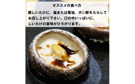 朝採り新鮮！分厚いしいたけ　チビしいたけセット【1-297】