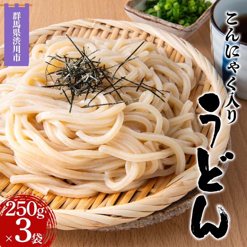 【ふるさと納税】 こんにゃく入りうどん 250g×3袋 うどん 麺 麺類 加工品 食品 F4H-0544