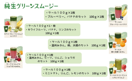 スムージー お試し ケール 果物・野菜5種 ブルーベリー バナナ キウイフルーツ リンゴ 温州みかん ビーツ ミニトマト 冷凍 遠藤青汁 endou元気BAR 伊予市 愛媛 | B471