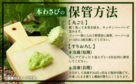 那賀わさび (正緑) 約100ｇ 1～2本 【徳島県 那賀町 生産者直送 産地直送 本わさび わさび ワサビ 生わさび 山葵 野菜 香味野菜 国産 正緑 薬味 調味料 万能 新鮮】FN-01