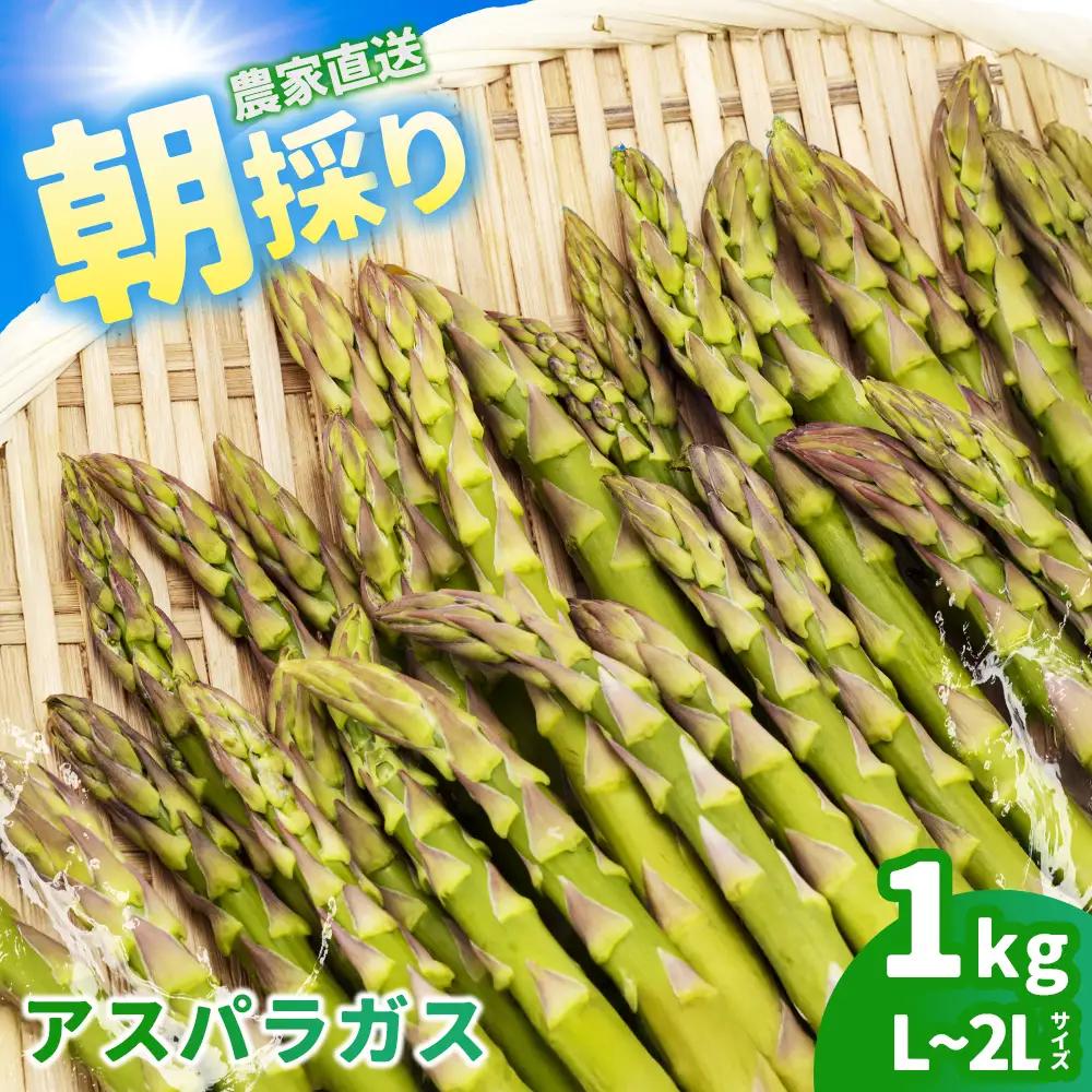 会津産アスパラガス　L～2Lサイズ　1kg　【07208-0837】