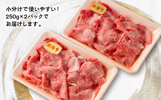 【毎月定期便】飛騨牛　切り落とし250g×2パック　すきやき・しゃぶしゃぶ・牛丼など全6回【配送不可地域：離島】【4085696】