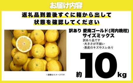 訳あり 愛南ゴールド 10kg  河内晩柑 愛南ゴールド