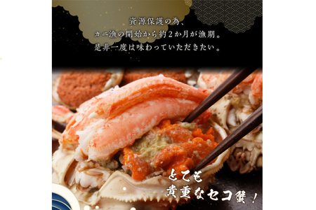 かに・甲羅盛り／☆蟹の宝石箱☆【贅沢なカニの食べ比べ】ずわいがに＆せいこがに甲羅盛 夫婦セットD ＜ズワイガニ甲羅盛り２個＆セイコガニ甲羅盛り１個のセット＞