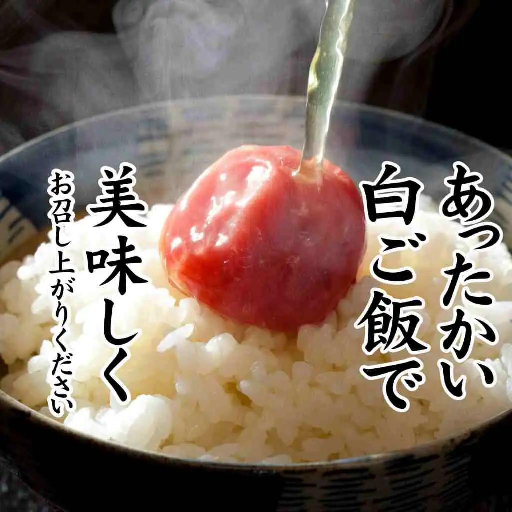 紀州産南高梅 なちゅら しそ漬 300g 塩分9％ tnht003A【tnht003A】