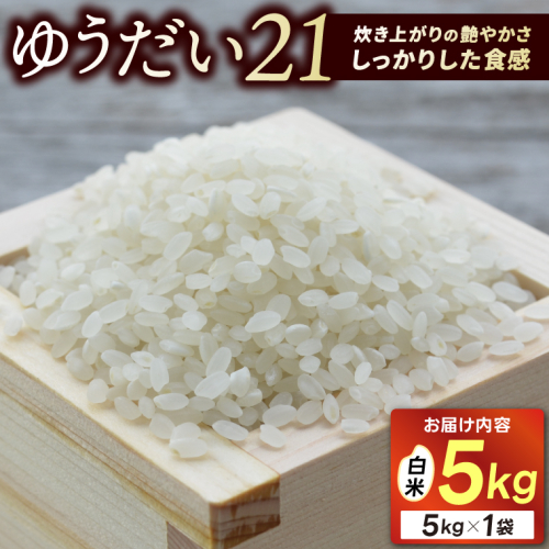 ＼新米 先行予約 9月中旬より順次発送予定／★令和8年産★ 米 5kg 白米 精米 「ゆうだい21」山崎観光農園 栃木県 益子町 ふるさと納税 お米 ゆうだい21 白米 精米 5キロ 高評価 令和8年 先行予約 (AU058)