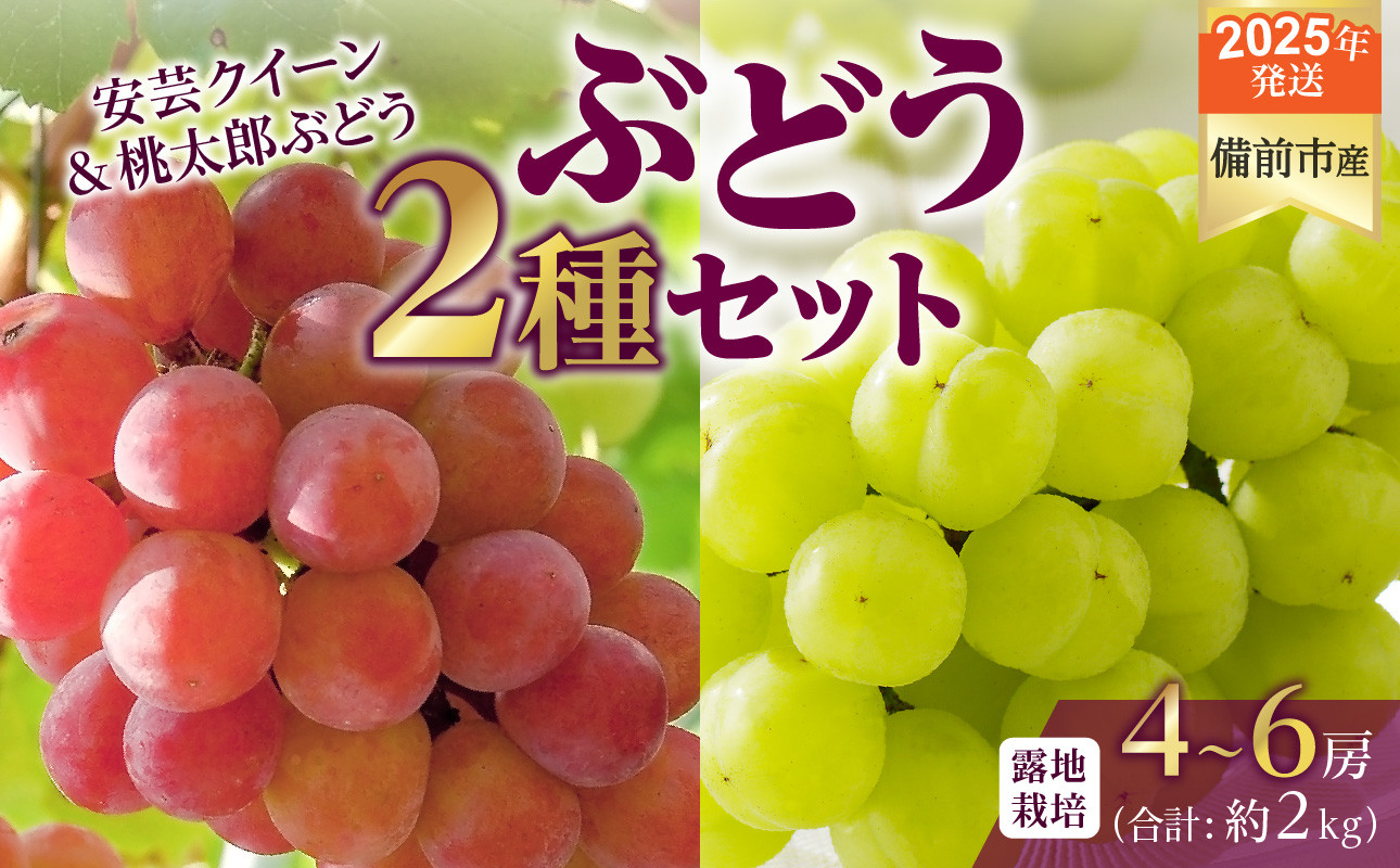 
            【2025年発送】びぜん葡萄「安芸クイーン」「桃太郎ぶどう」（露地栽培）約2kg入  【 岡山県備前市産 安芸クイーン 桃太郎ぶどう 露地栽培 約2kg 4房～6房 詰合せセット 】
          