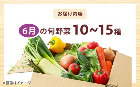 高槻野菜おまかせ詰め合わせセット 6月（10種〜15種）[AOCS012] 野菜セット