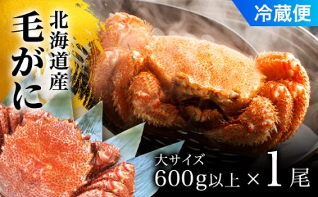 毛がに大サイズ１ハイ（冷蔵） 【 ふるさと納税 人気 おすすめ ランキング かに カニ 蟹 毛ガニ 毛蟹 塩ゆで ボイル ゆでたて 冷蔵 鍋 パスタ かにめし 炊き込みご飯 かにみそ かに味噌 甲羅盛り 北海道 長万部町 送料無料 】 OSMA005