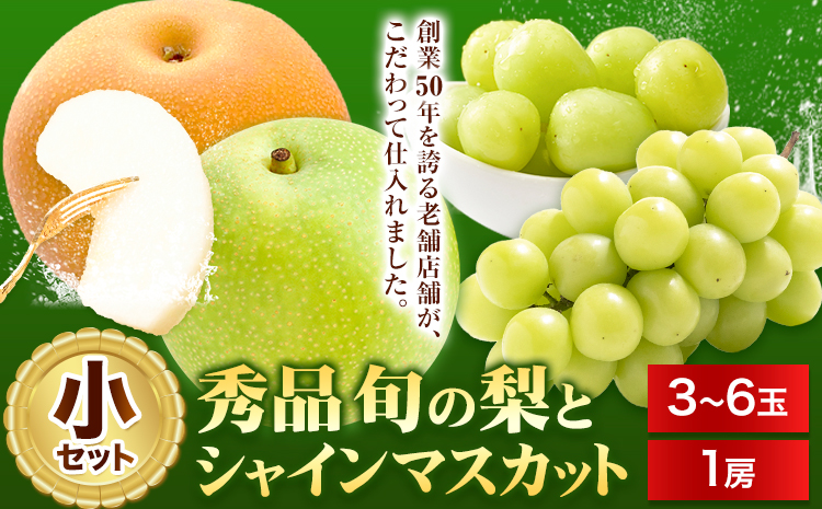 【先行予約】梨 なし シャインマスカット と 旬 の 梨 セット (小) 高間商店《8月下旬から10月上旬頃出荷》 鳥取県 八頭町 果物 くだもの フルーツ マスカット ナシ ぶどう ブドウ