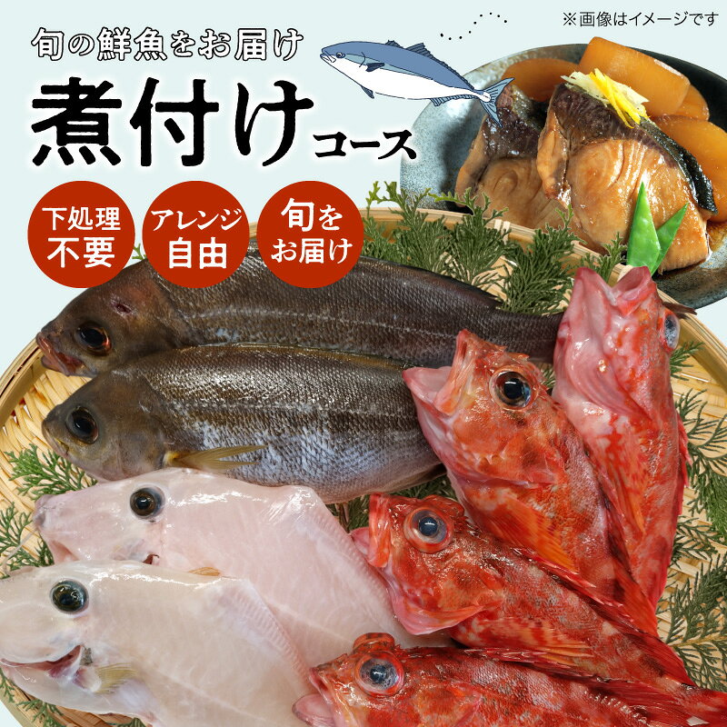 【ふるさと納税】【着日指定】 鮮魚 セット 煮付け コース 旬 お魚屋さん 厳選 900g 前後 選りすぐり 簡単調理 冷蔵 チルド 鮮度抜群 魚介 お魚屋さん グルメ 海鮮 新鮮 天草産 熊本県 九州 産地直送 お取り寄せグルメ 送料無料