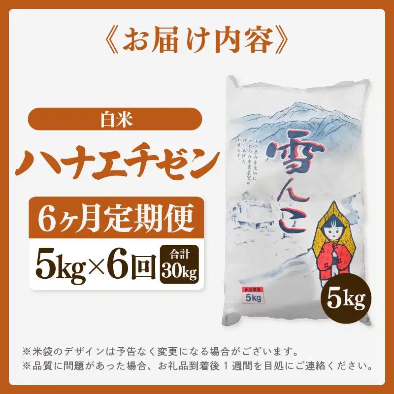 【先行予約】【令和8年産・新米】定期便 ≪6ヶ月連続お届け≫ ハナエチゼン 5kg × 6回（計30kg）【白米】【2026年10月中旬以降順次発送】 [e26-f001_01]