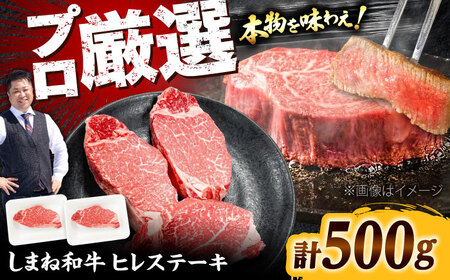 しまね和牛 ヒレステーキ500g 和牛 牛肉 国産 国産牛 赤身 ステーキ ヒレ 人気 黒毛和牛 ギフト 島根県雲南市/株式会社O.R.C[AIEF023]