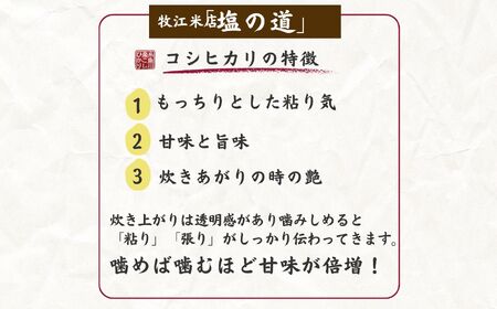【令和7年産】コシヒカリ 5kg×2袋 10㎏ 新潟県 糸魚川産「塩の道」牧江米店【こしひかり 食品 おすすめ】