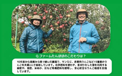 りんご サンふじ 訳あり 10kg ファームたんぽぽ 沖縄県への配送不可  2024年12月上旬頃から2024年12月下旬頃まで順次発送予定 令和6年度収穫分 除草剤不使用 長野県 飯綱町 [0554