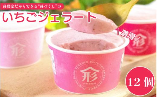 ジェラート 3種類 セット 12個 いちご アイス 詰め合わせ 手作り アイスクリーム フルーツ あいす じぇらーと スイーツ デザート 果物 野菜 旬 フルーツ プレゼント ギフト 贈答 贈り物 おいしい フルーツガーデンやまがた 徳島 鳴門