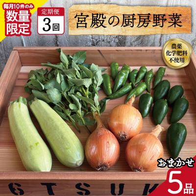 ふるさと納税 明和町 宮殿の厨房野菜おまかせ5品　定期便3回