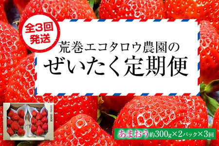 荒巻エコタロウ農園のぜいたく定期便（あまおう約300g×3回）【2026年2月〜3月】　BJ08