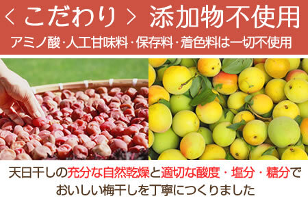 【1079-5】幸せのはちみつ梅干(紀州南高梅)700ｇA級 大粒 3L以上 和歌山県産 うめぼし 梅干し 梅 700ｇ 送料無料 ふるさと納税 梅干し はちみつ