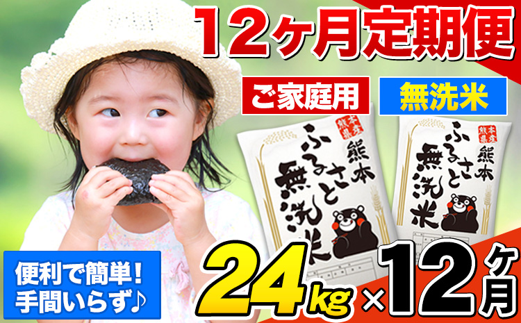 【12ヶ月定期便】熊本ふるさと無洗米 24kg 訳あり《お申込み月の翌月から出荷開始》 熊本県産 無洗米 6kg×4袋---mf_mmsntei_304500_24kg_mo12num1---