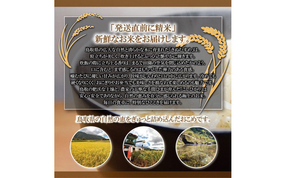 令和7年産 原田農園無洗米5kg