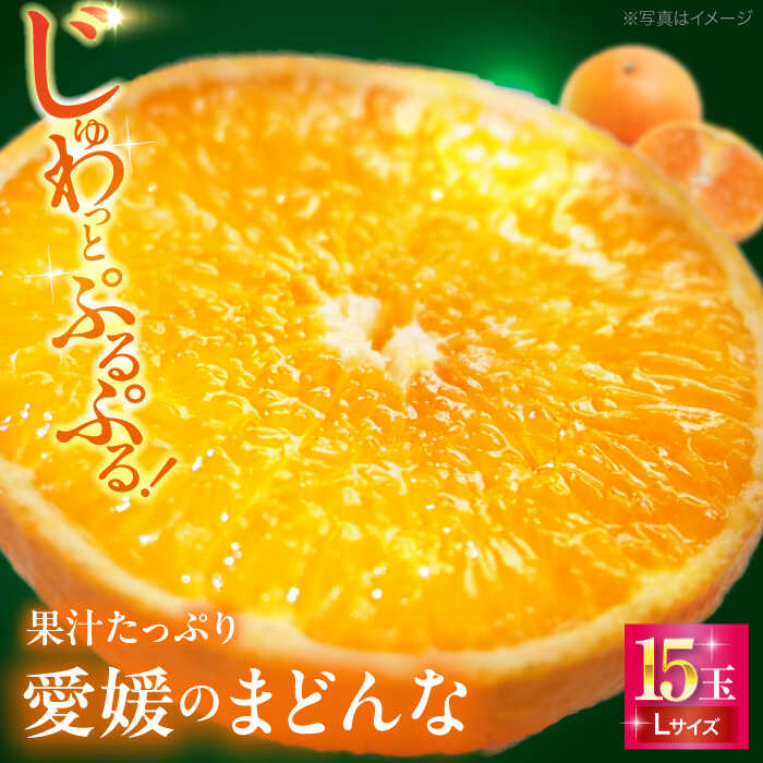 【ふるさと納税】【11月下旬から順次発送】峯田農園のとろける宝石柑橘「まどんな」Lサイズ 15玉（約3kg） 大洲市/峯田農園[AGBT022] 先行予約 みかん ミカン 果物 くだもの フルーツ 愛媛県産 大洲市産 産地直送 おすすめ 人気 お取り寄せ 送料無料 贈答 ギフト