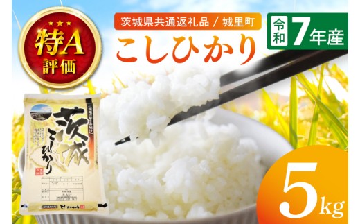 
                  令和7年産 茨城県産こしひかり 5kg（茨城県共通返礼品/城里町）特A評価 数量限定 お米 こめ ごはん 精米 コシヒカリ 単一米 安心 安全 白米 生産者直送 高評価 茨城県産 水戸市（IH-6249）
                