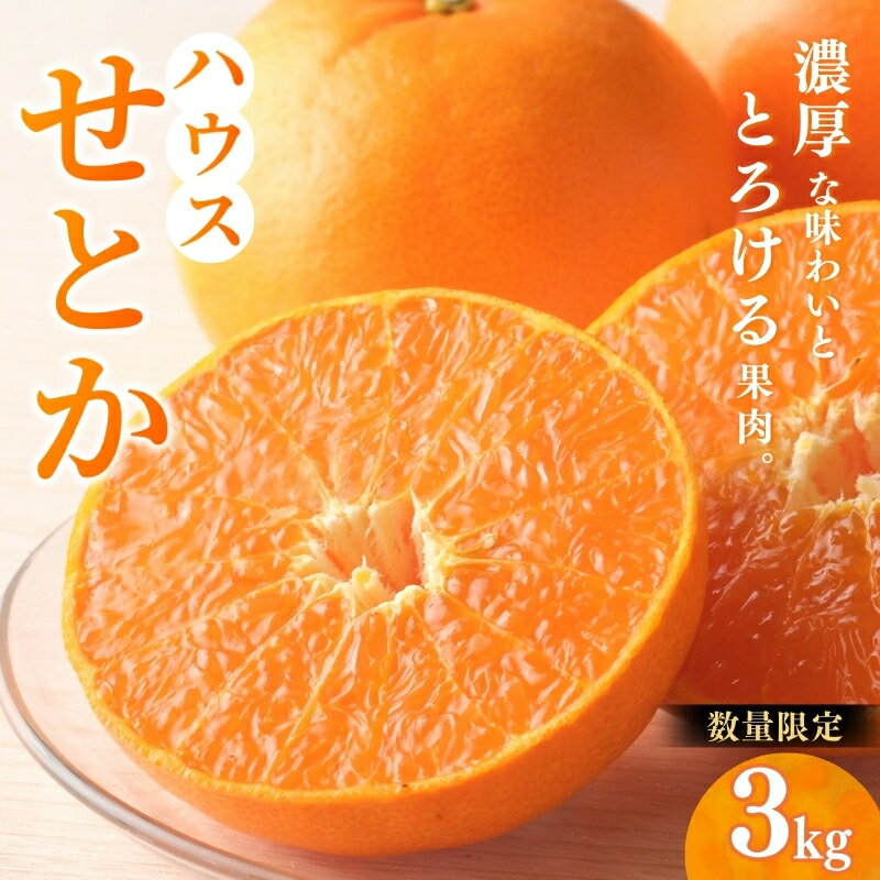 【ふるさと納税】 せとか 阪口農園の ハウスせとか 3kg (2L〜3L 9玉〜12玉) 【2026年2月中旬から3月中旬までに順次発送】 みかん ミカン 蜜柑 柑橘 果物 くだもの フルーツ 予約 人気 ジューシー 甘い 産地直送 送料無料