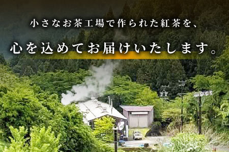 何も加えてない・ピュアな紅茶★無農薬 田峯紅茶 5袋セット 紅茶 ホット アイス アイスティー 茶 -022
