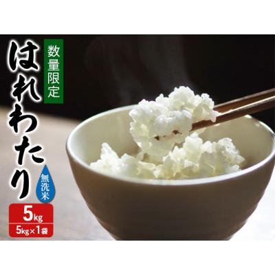 ふるさと納税 鰺ヶ沢町 令和7年産 はれわたり 無洗米 5kg 1袋 [53841709]