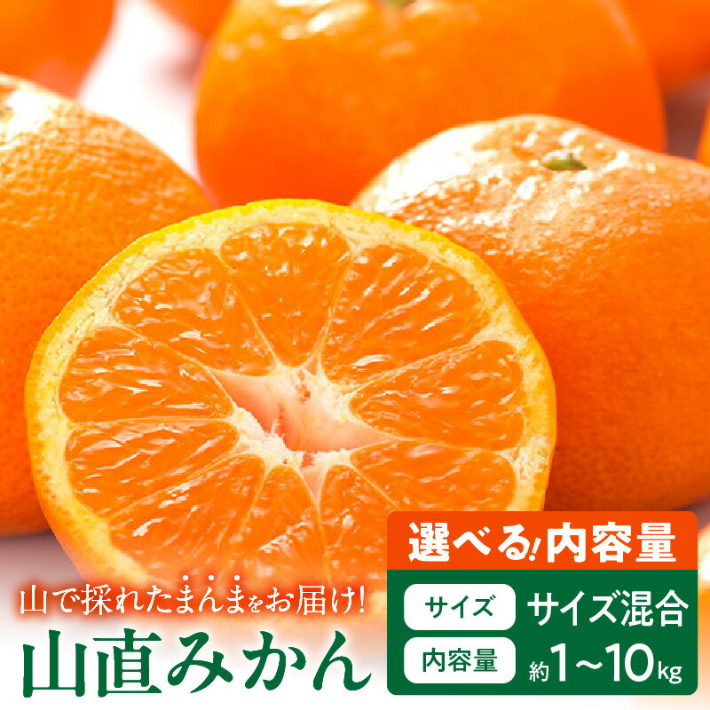【ふるさと納税】【2025年先行予約】 みかん 山から直送 鮮度優先 ごろごろ規格 秀品 優品 良品 混合 選べる 内容量 箱込 1kg ～ 10kg 有田みかん 和歌山県産 産地直送 みかんの会 フルーツ デザート お取り寄せ 和歌山県 湯浅町 送料無料