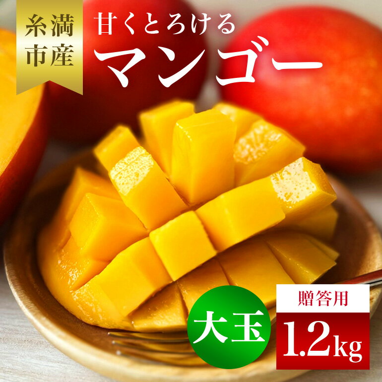 【ふるさと納税】【 先行予約 2025年 発送 】 かねよしマンゴーの甘くとろける マンゴー 1.2kg ( 大玉500g～650g )( 贈答用 ) アップルマンゴー フルーツ 果物 ギフト 沖縄県産 国産 完熟マンゴー くだもの ギフト 贈答品 贈り物 産地直送 農家直送 糸満市 送料無料