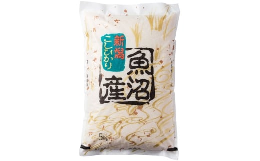 【6か月定期便】魚沼産コシヒカリ5kg