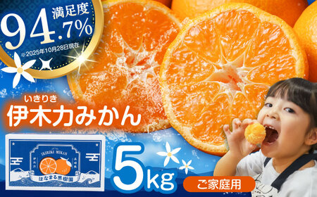 伊木力みかん 5kg AHCF002 みかん