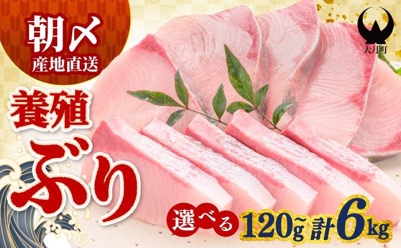 
                  ぶり 切り身 6kg ~ 120g 選べる 定期便 養殖 冷蔵 刺身 ブリ 鰤 お刺身 たたき 照り焼き ぶり大根 ぶりしゃぶ ブリトロ 生食 海鮮丼 海鮮 旬 ブロック フィレ ギフト 国産 贈答用 人気 サンライズファーム さしみ  鍋 丼 寿司 カルパッチョ 新鮮 年末 正月 贈答 お歳暮 高知 高知県 大月町
                