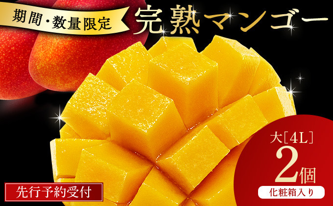 
            Y-CD10 数量限定！宮崎県串間市産の完熟マンゴー(赤秀4L×2個)化粧箱入り【スーパーほりぐち】
          