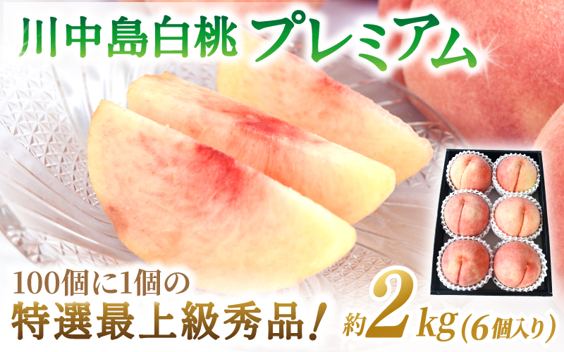 【2026年発送分先行予約】数量限定！【モモ】川中島白桃 約2kg 6個入 100個に1個の特選最上級秀品！ こだわり農家厳選！【2026年7月末から8月末順次発送】/ 和歌山県 もも 桃 高級 贅沢 特選 【kgr036】